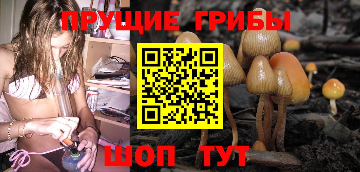 Санкт-Петербург  Галлюциногенные грибы MAGIC MUSHROOMS  Вход с VPN  Галлюциногенные грибы мухоморы 