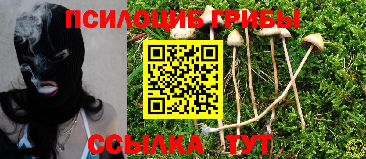 Галлюциногенные грибы ЛСД Санкт-Петербург